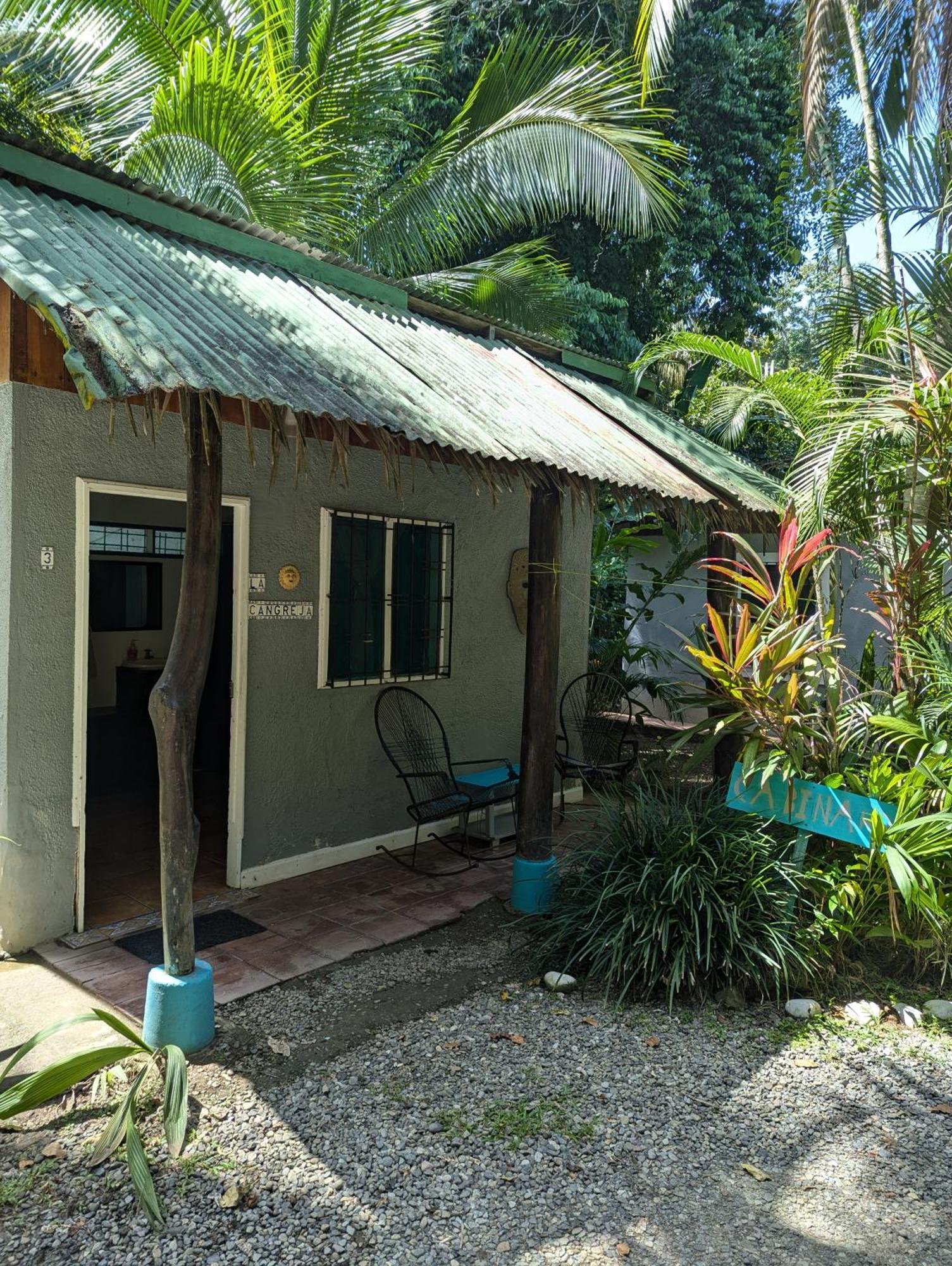 Tasty Dayz Hostel Puerto Viejo de Talamanca Exteriér fotografie