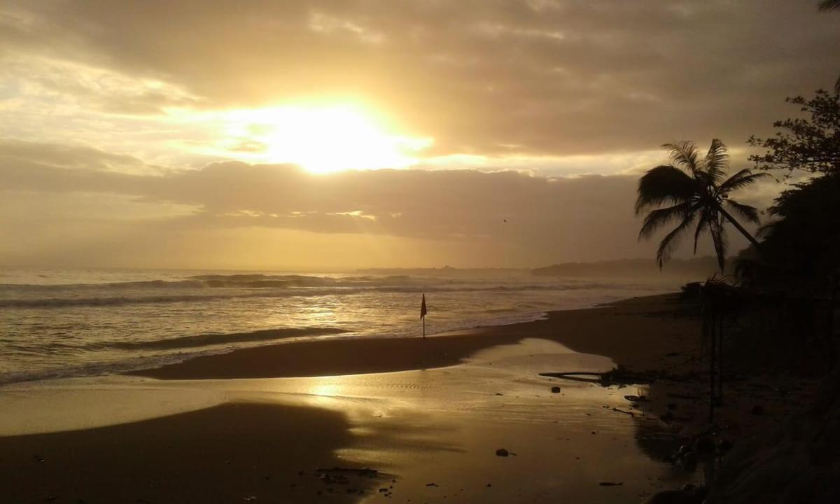 Tasty Dayz Hostel Puerto Viejo de Talamanca Exteriér fotografie