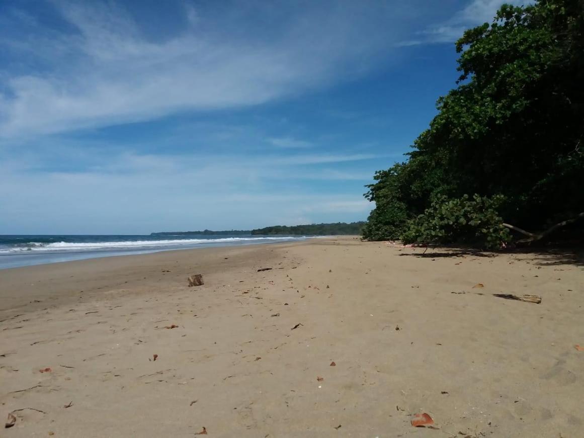 Tasty Dayz Hostel Puerto Viejo de Talamanca Exteriér fotografie