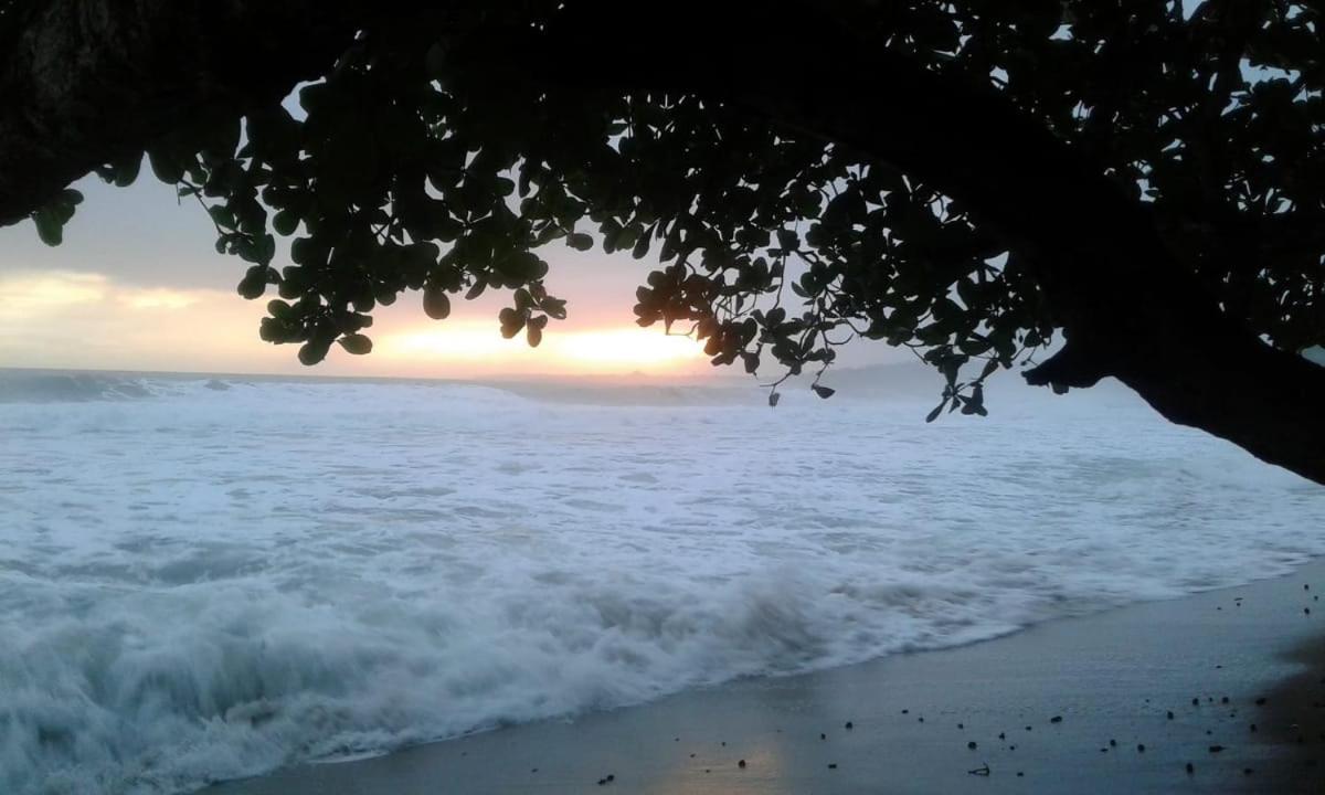 Tasty Dayz Hostel Puerto Viejo de Talamanca Exteriér fotografie