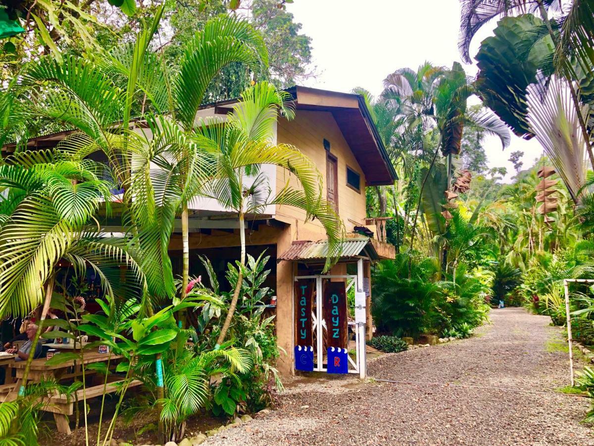 Tasty Dayz Hostel Puerto Viejo de Talamanca Exteriér fotografie