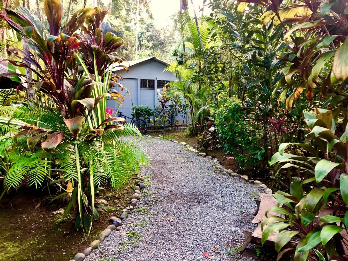 Tasty Dayz Hostel Puerto Viejo de Talamanca Exteriér fotografie