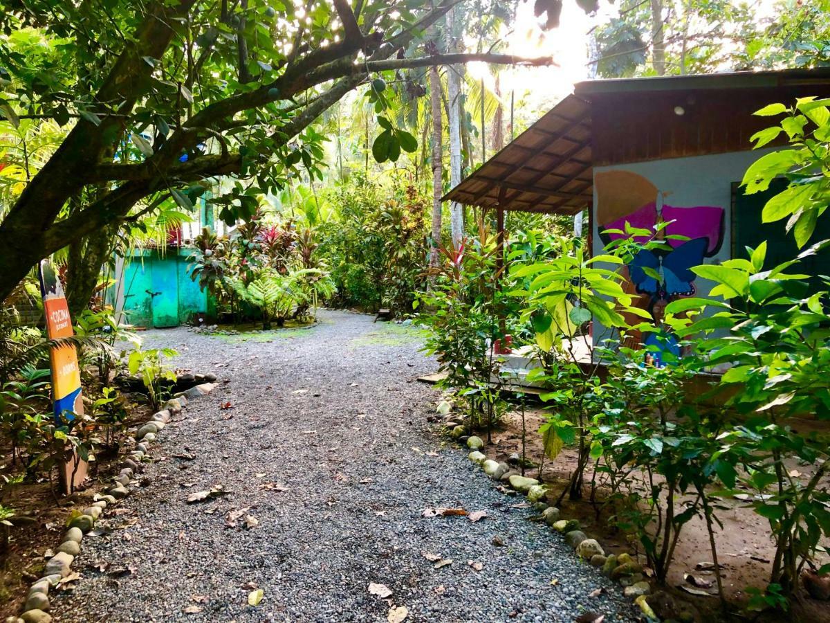 Tasty Dayz Hostel Puerto Viejo de Talamanca Exteriér fotografie