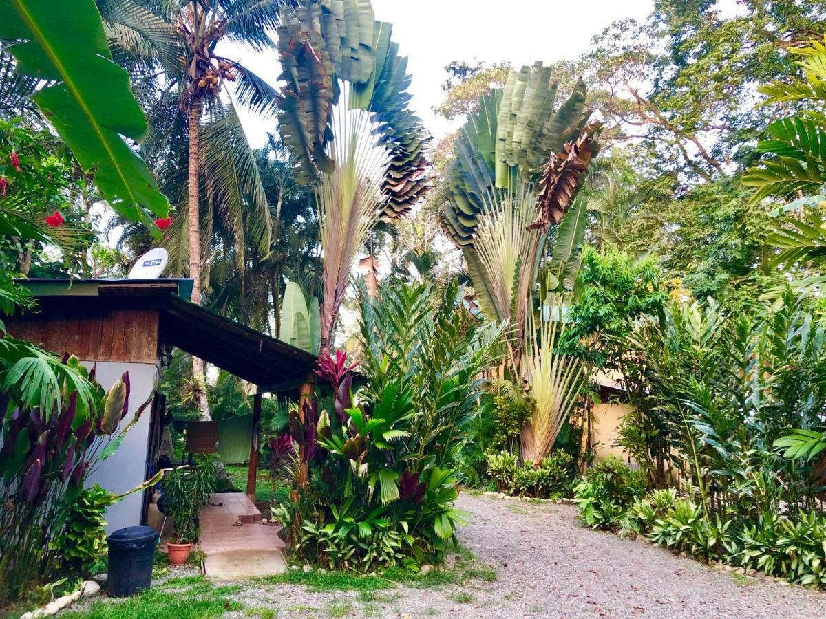 Tasty Dayz Hostel Puerto Viejo de Talamanca Exteriér fotografie