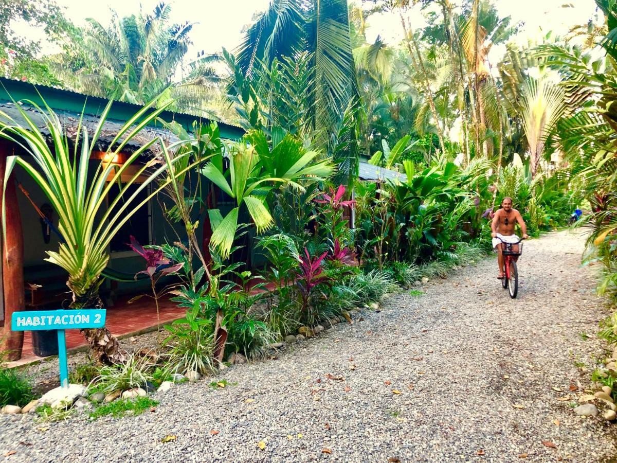 Tasty Dayz Hostel Puerto Viejo de Talamanca Exteriér fotografie