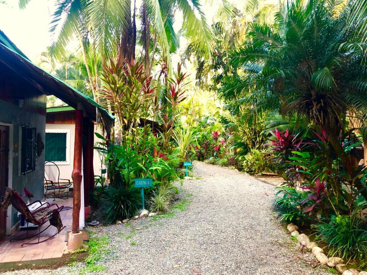 Tasty Dayz Hostel Puerto Viejo de Talamanca Exteriér fotografie