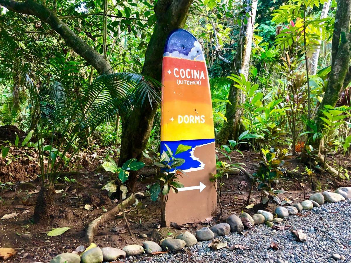 Tasty Dayz Hostel Puerto Viejo de Talamanca Exteriér fotografie