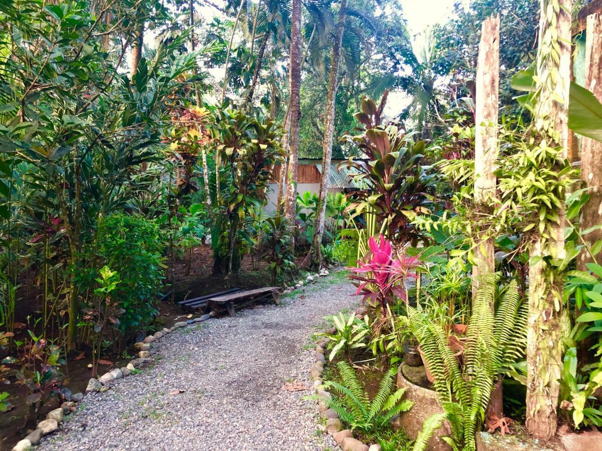 Tasty Dayz Hostel Puerto Viejo de Talamanca Exteriér fotografie